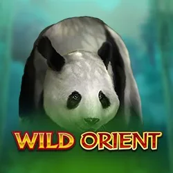 Wild Orient 