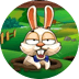 Bonus Bunnies 